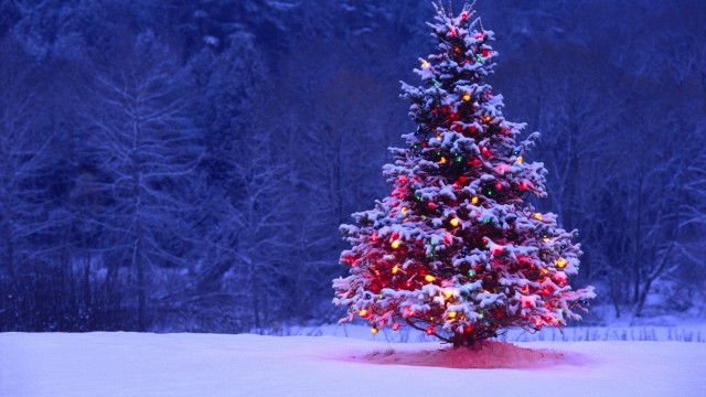 Free-Wallpaper-Christmas-Tree