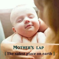 mothers lap