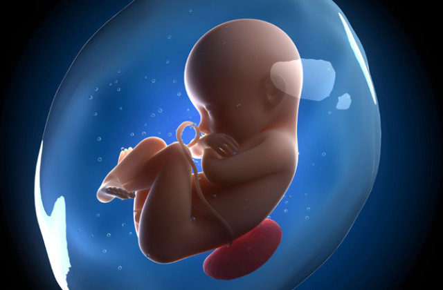 fetus-placenta-670