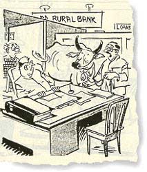 rural bank
