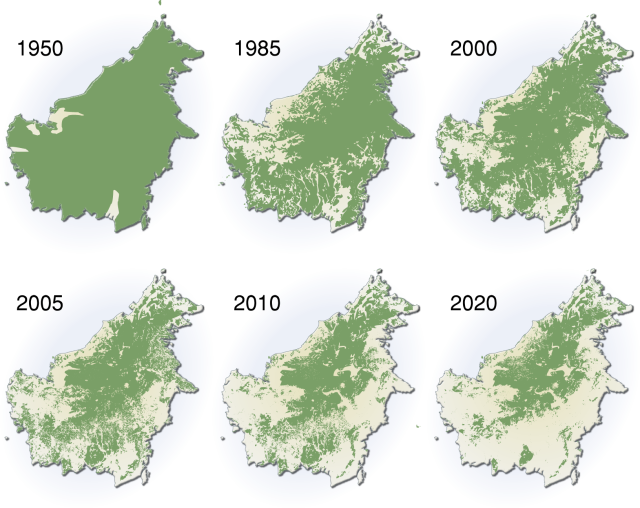 extent-of-deforestation-in-borneo-1950-2005-and-projection-towards-2020