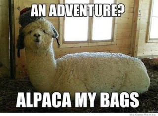 an-adventure-alpaca-my-bags