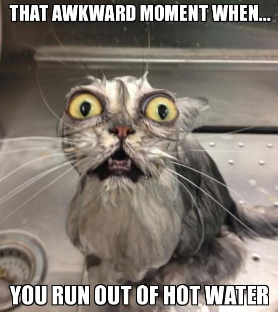2068137768funny-shocked-scared-cat-bath-moment-run-out-hot-water-pics