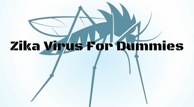 Zika Virus For Dummies