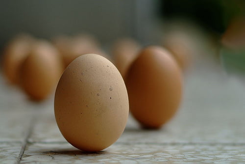 standing-an-egg01
