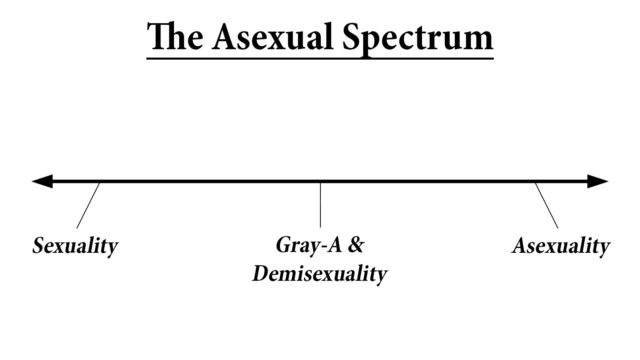 Sexed Debunking Gray Asexuality Its Not What You Think