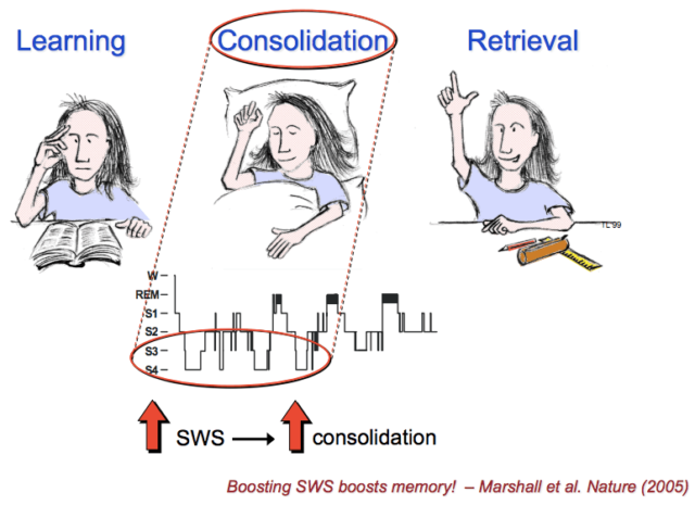 Learning-Consolidation-Retrieval