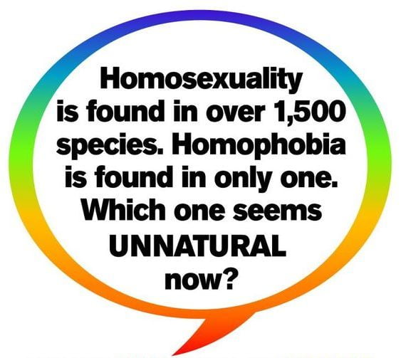 curing homophobia