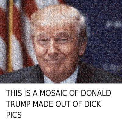 Memes Donald Trump