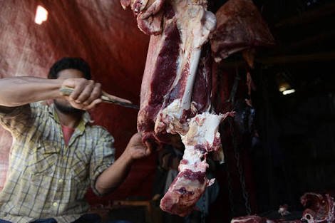 Beef Ban and Leather Industry 