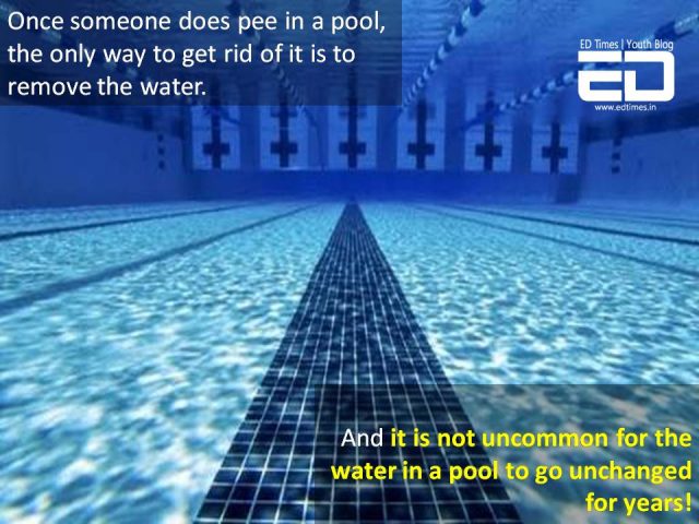 why you should not pee in a pool