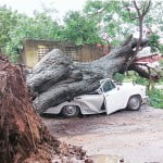 article-2225939-15C905BB000005DC-226_634x371