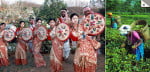 assam-main
