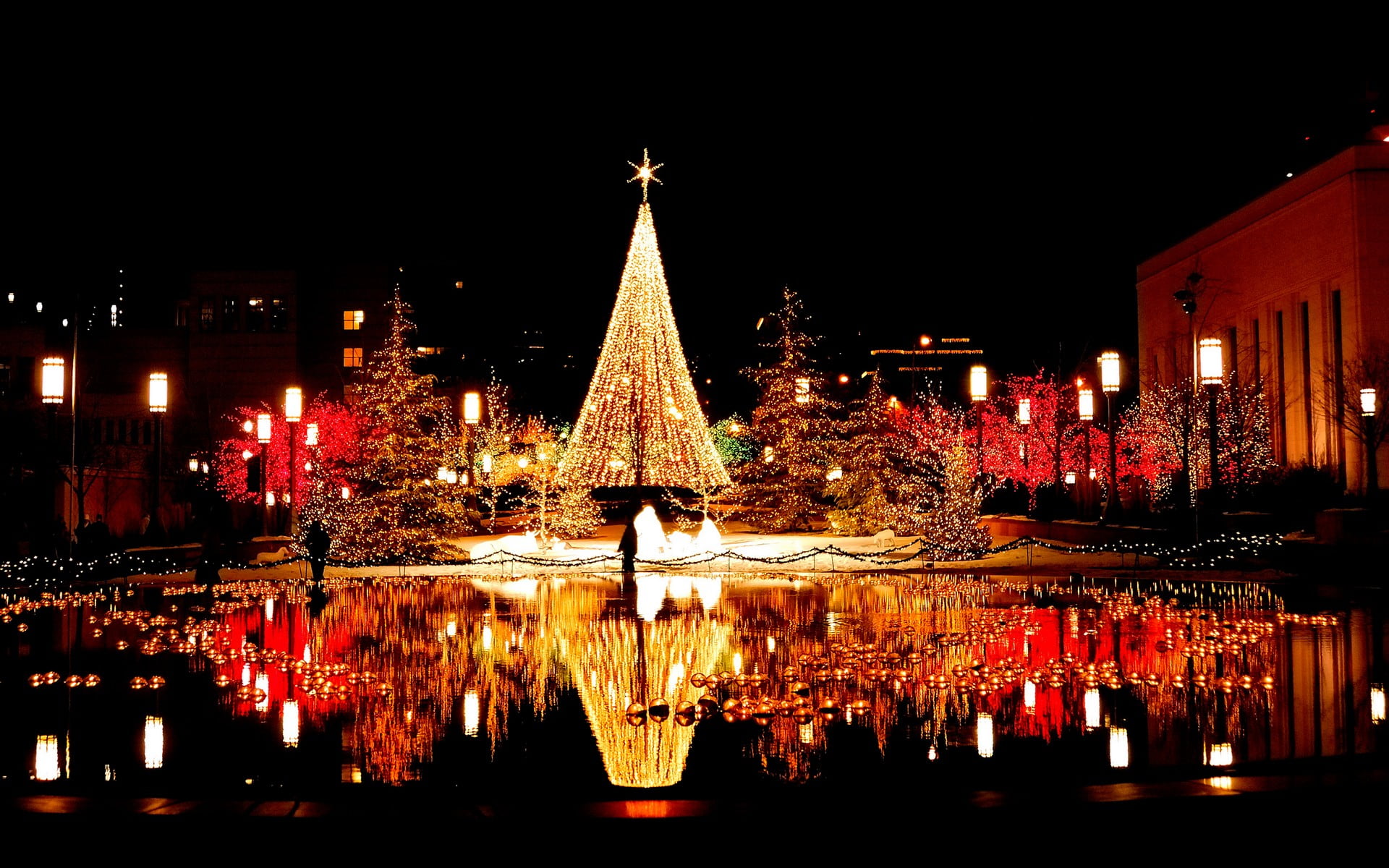 Where to celebrate Christmas in India
