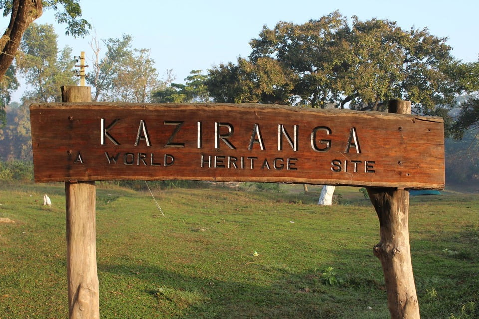 Things You Didn't Know About Kaziranga National Park (Video)