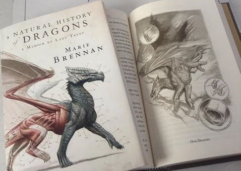 a natural history of dragons
