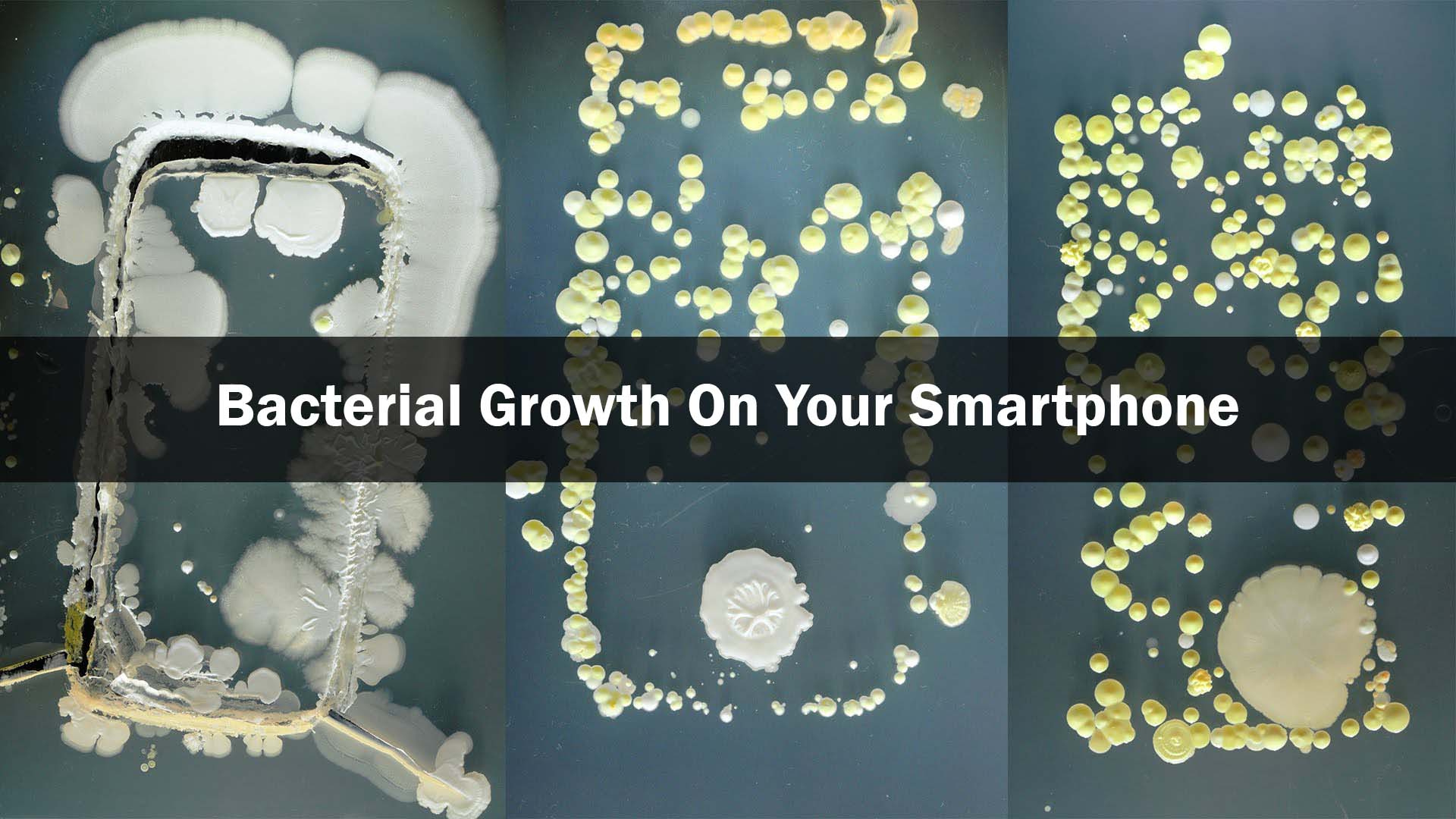 bacteria on smartphones