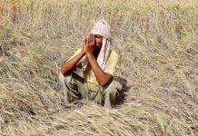 Why Shouldn’t The Government Tax The Rich Farmers?