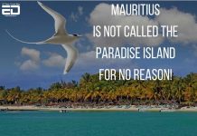 trip to mauritius