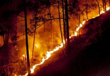 Uttarakhand Burns While The Nation Is Too Busy To Notice