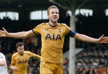 Harry Kane Premier League