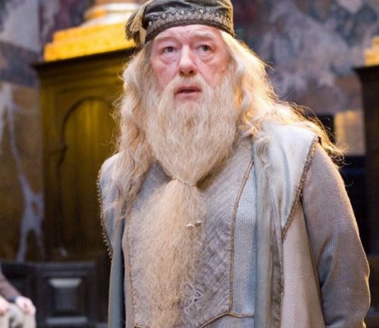 Wackiest Harry Potter Fan Theories That Will Make You Go “Whaaaat!”