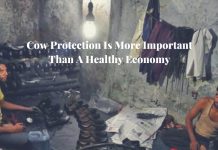 Kanpur’s Leather Industry Is In Distress But The UP Government Seems More Interested In Cow Protection