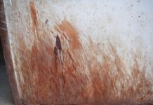 U.P. vs Delhi: What Things Do You Notice When You Live In U.P. & Travel To Delhi U.P. vs Delhi