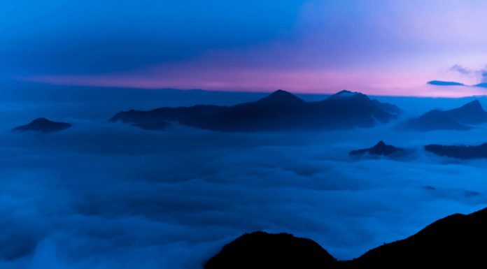 Watch: Did You Know About These Amazing ‘Sky Islands’ In The Western Ghats? sky islands