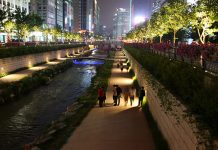 Should We Create Or Consume To Save Our Environment? save our enviroment