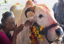 gau mata