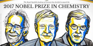 The 2017 Nobel Prize in Chemistry