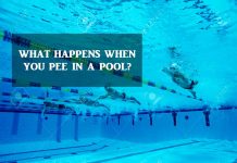 What happens when you pee in a pool