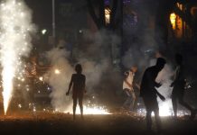 How To Protect Your Pets During The Noisy Festival Season protect your pets