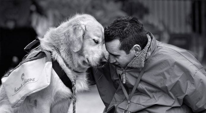 In Pics: Kind of Conversation My Dog and I Would Have At 4 AM In The Morning