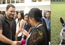 We Tell You How Rahul Gandhi Will Get Hitched And Married; Thanks Pidi!