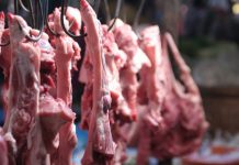 This Meat Ban In Gurgaon Is Actually A Good One: Read First Then React meat shop ban