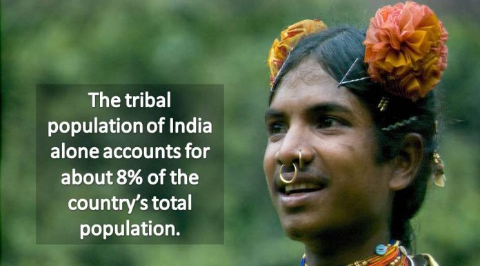 In Pics: A Closer Look At India’s Adivasi Culture Adivasi population