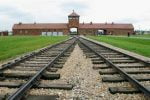 auschwitz