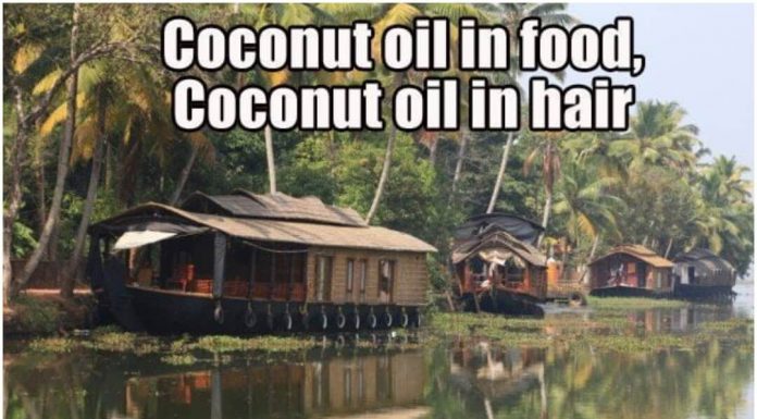 What Outsiders Think About Kerala – Exposing Fact From Fiction kerala