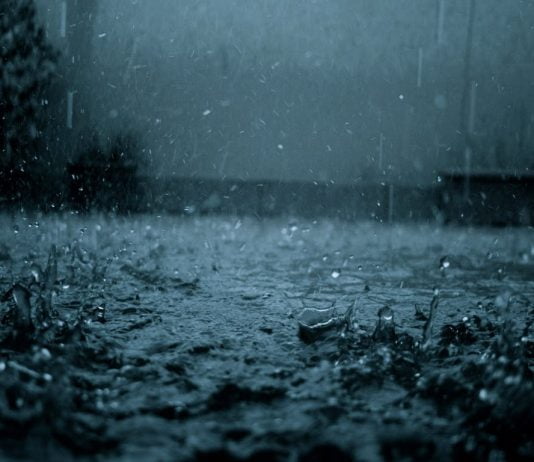 Watch: Mystery Behind The Raining Of Animals From The Sky animals