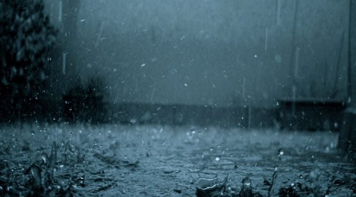Watch: Mystery Behind The Raining Of Animals From The Sky animals