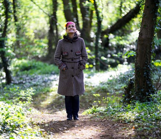 forest bathing