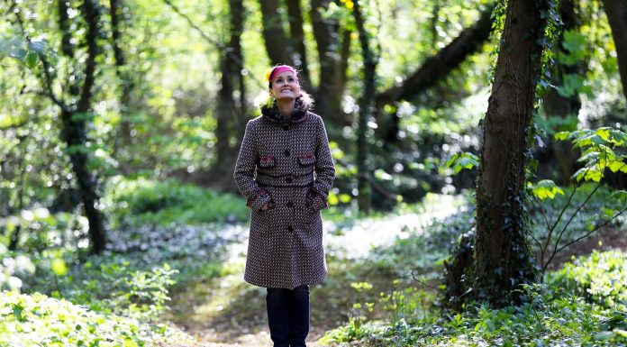 This Japanese Practice Lets You Soak In The Environment To Reduce Stress forest bathing
