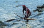 The twilight of the Andaman Jarawa