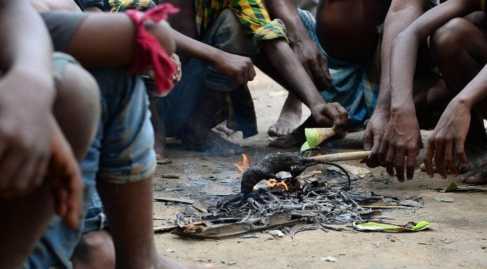 Meet The Musahars – The Most Marginalized Community Of India That Eats Rats To Survive musahars