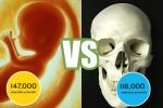 seo-google-search-life-and-death