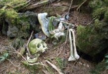 The Japanese Suicide Forest Is Scary Yes, But Not A Means To Your Entertainment japanese suicide forest