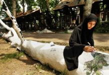 In The Shade of Fallen Chinar