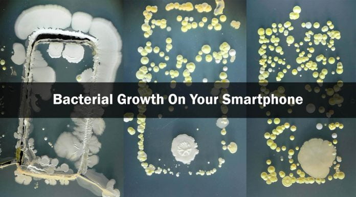 Your Smartphones Support Entire Colonies Of Bacteria And You Don’t Even Know It smartphones